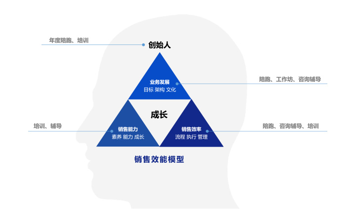 专精特新销售效能模型